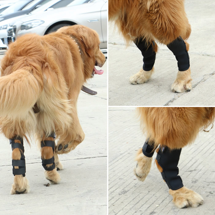 Mresio Pet Knee Joint Support Sleeve