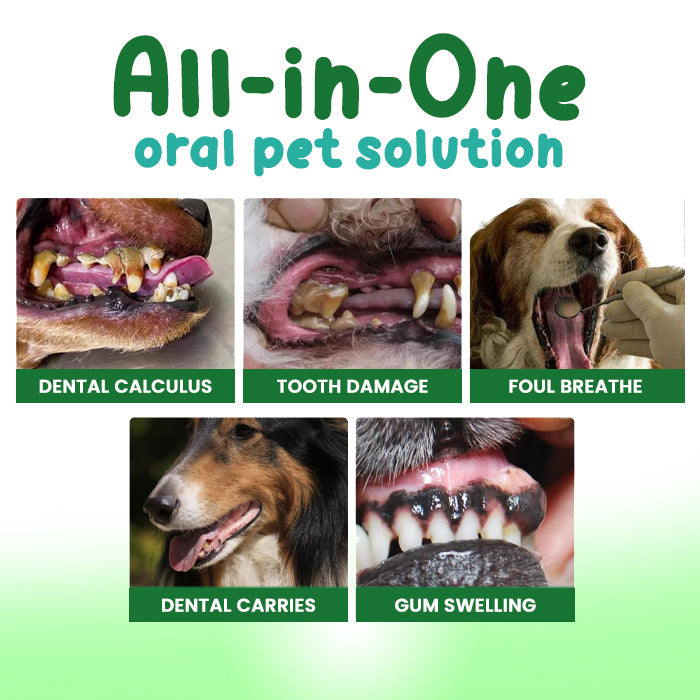 🌟 Official Store | Lotmay® FreshBreath Pet Oral Care Spray