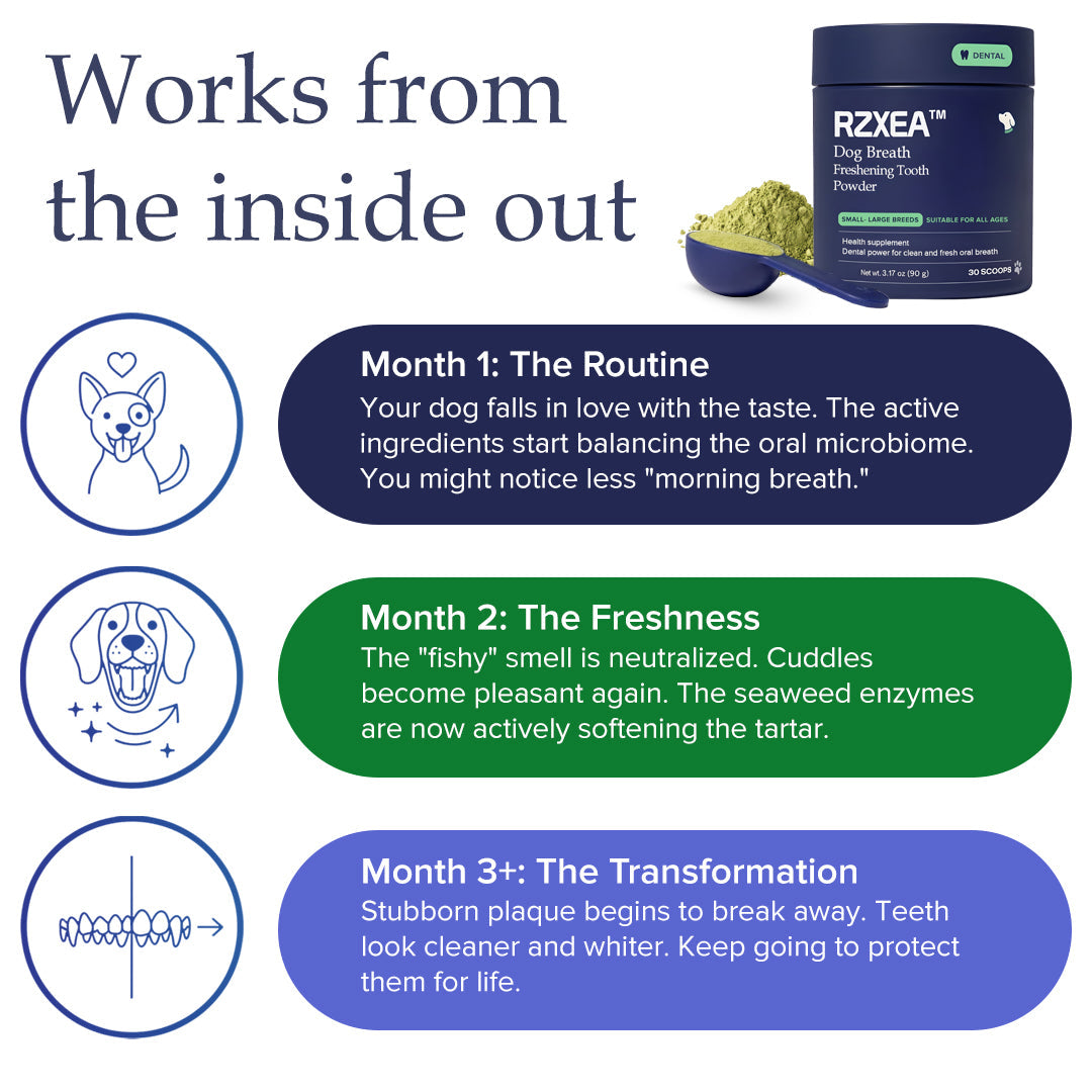 RZXEA™ Tartar & Plaque Remover 🛡️ Vet Recommended