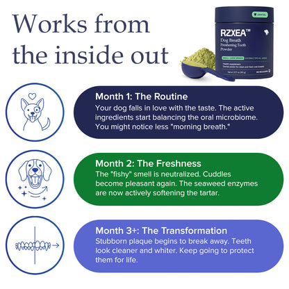 RZXEA™ Tartar & Plaque Remover 🛡️ Vet Recommended