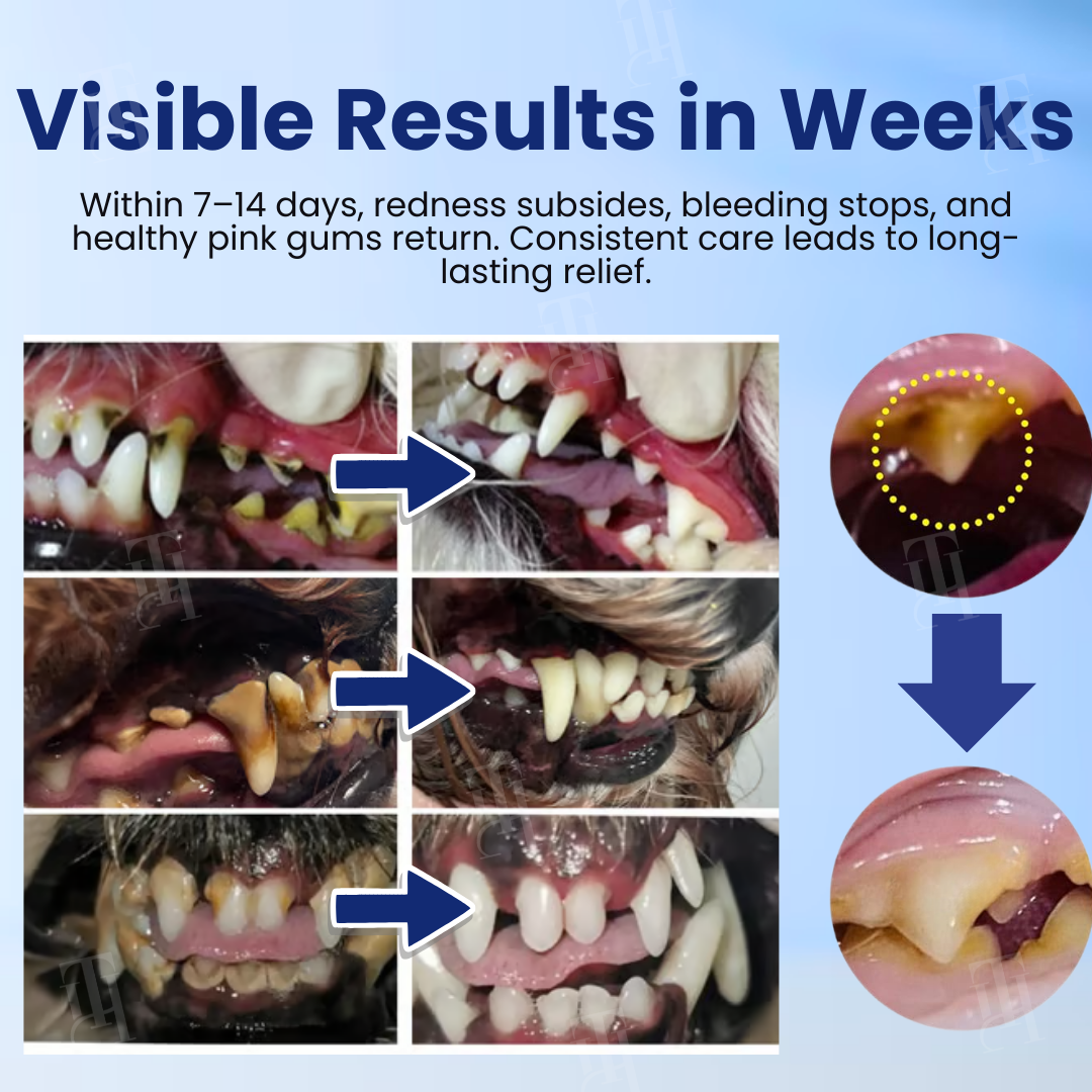 Artriax™ Dental Drops