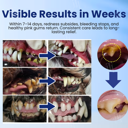 Artriax™ Dental Drops