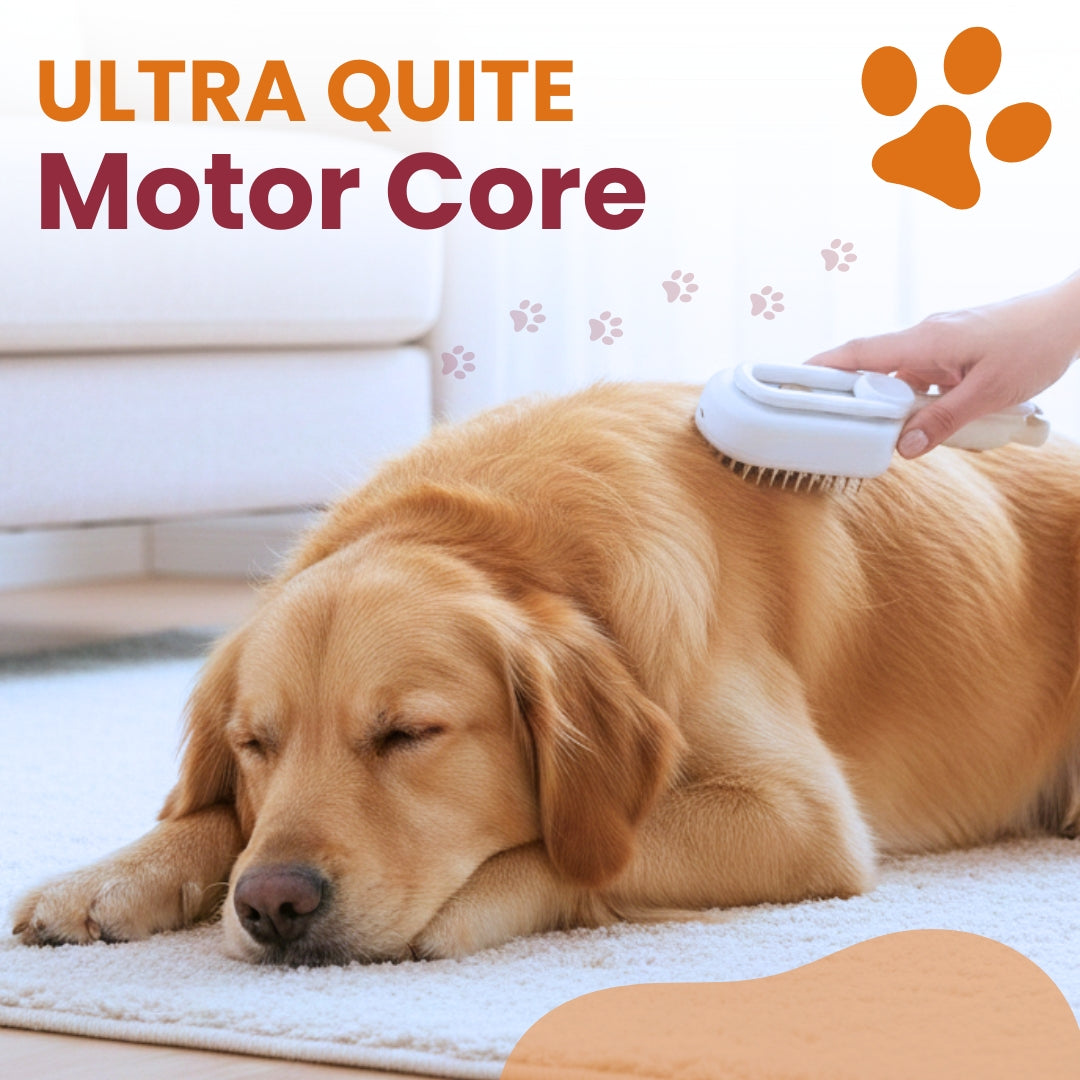 AEXZR® 3-in-1 Pet Steam Brush