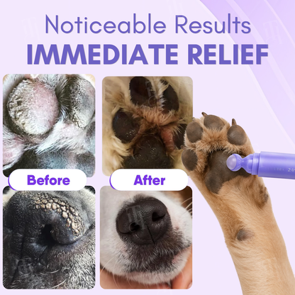 🐾 Soothe Cracked Paws & Noses in 3 Seconds | AEXZR® 2-in-1 Paw Relief Roll-On Balm