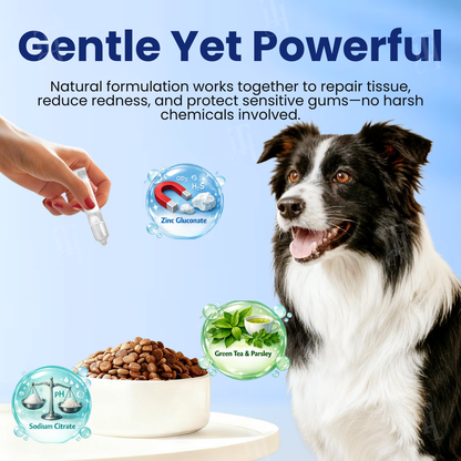 Artriax™ Dental Drops
