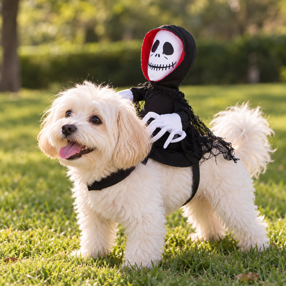 Spooky Rider Halloween Pet Costume