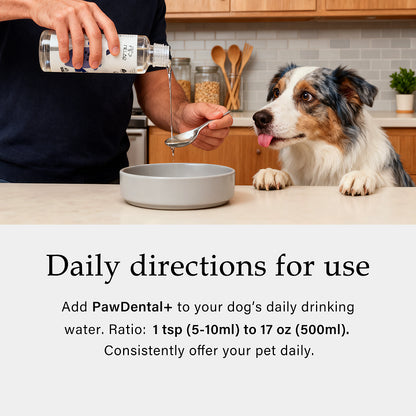 RZXEA™ Pet Oral Care Water