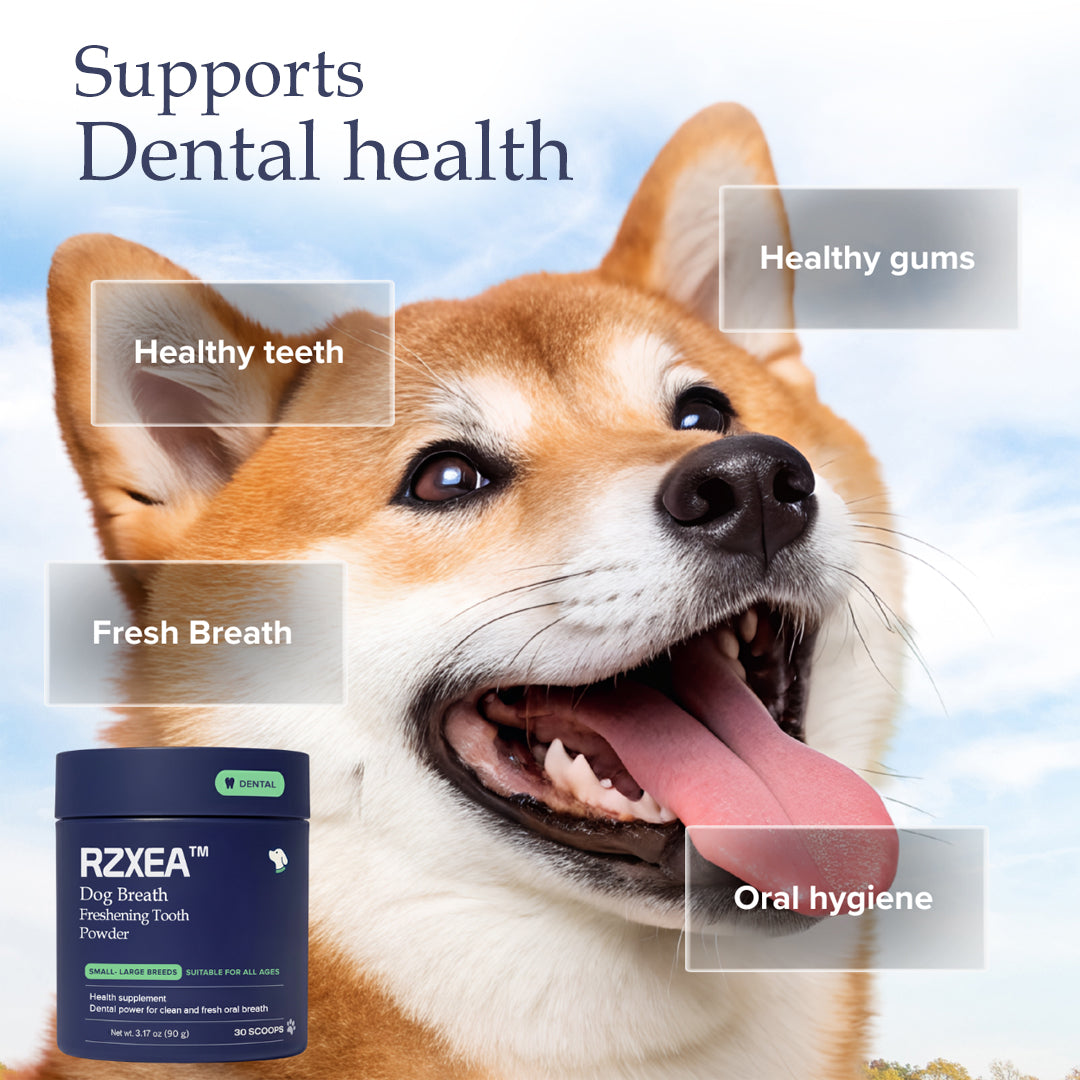 RZXEA™ Tartar & Plaque Remover 🛡️ Vet Recommended