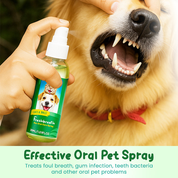 🌟 Official Store | Lotmay® FreshBreath Pet Oral Care Spray