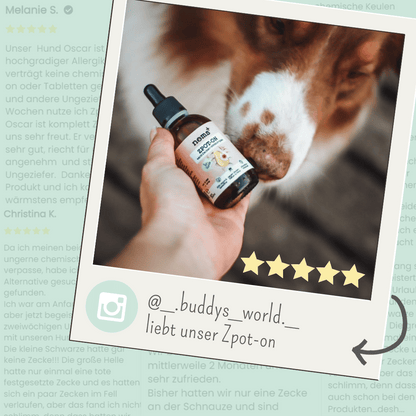 RZXEA™ Tick Protection for Dogs – Natural Spot-on against Fleas, Mites & Mosquitoes [50ml Annual Supply]