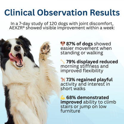 AEXZR® Pet Joint Health Revival Formula