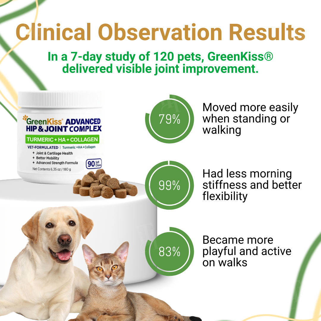 🌟 Official Store | GreenKiss® Advanced Hip & Joint Complex Soft Chews | Turmeric + HA + Collagen
