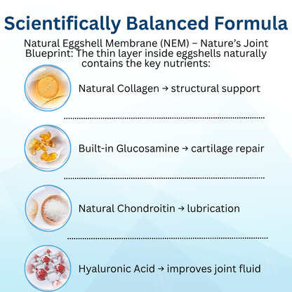 AEXZR® Pet Joint Health Revival Formula