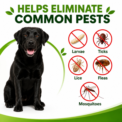RZXEA™ CedarGuard Flea & Tick Spray