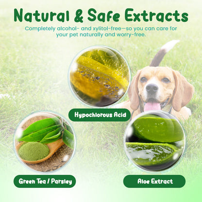 🌟 Official Store | Lotmay® FreshBreath Pet Oral Care Spray