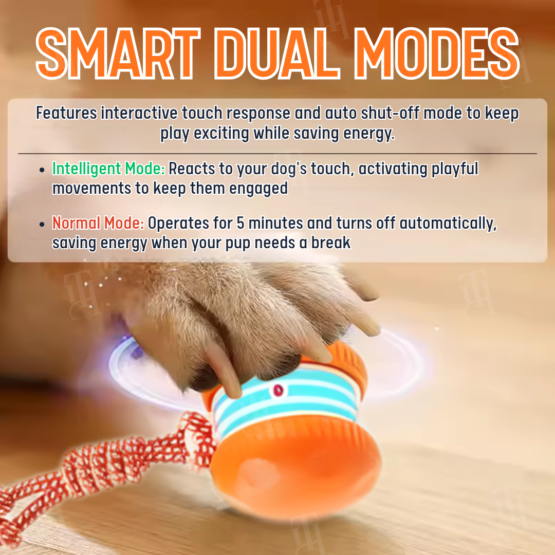 RZXEA™ Smart Interactive Dog Ball ⚡ Self-Rolling & Durable TPU | Cures Boredom
