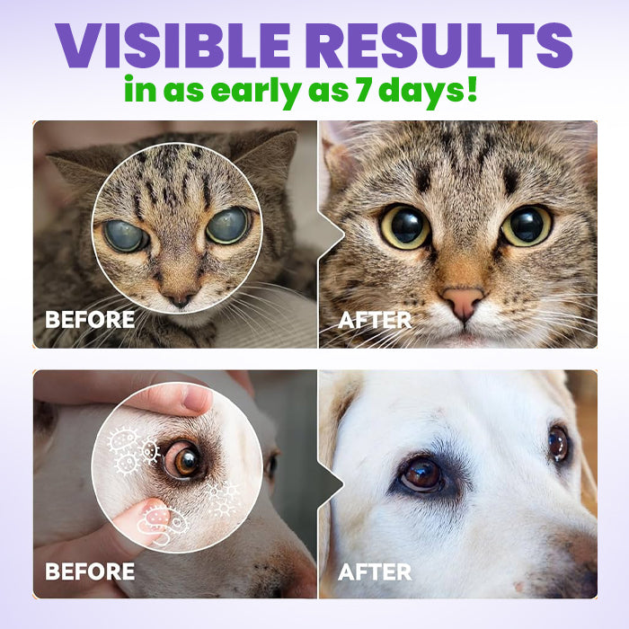 ⏱️ Fast Results 🌟 Official Store | Lotmay® PetPro Eye Drops