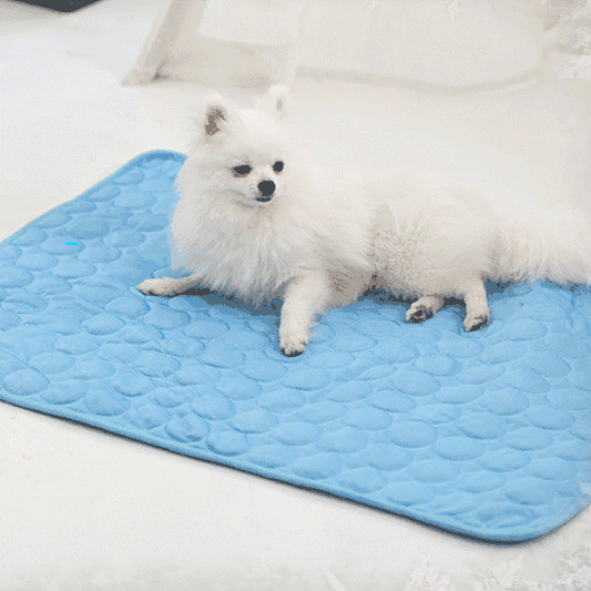 AEXZR® Pet Cooling Mat