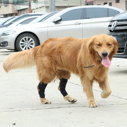 Mresio Pet Knee Joint Support Sleeve
