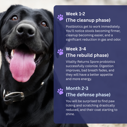 🌟 Official Store | RZXEA™ Pet Pro-Gut Series