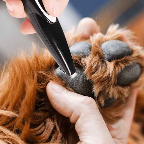 ⭐RZXEA™ Electric Pet Paw Hair Trimmer