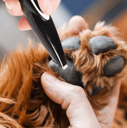 ⭐RZXEA™ Electric Pet Paw Hair Trimmer