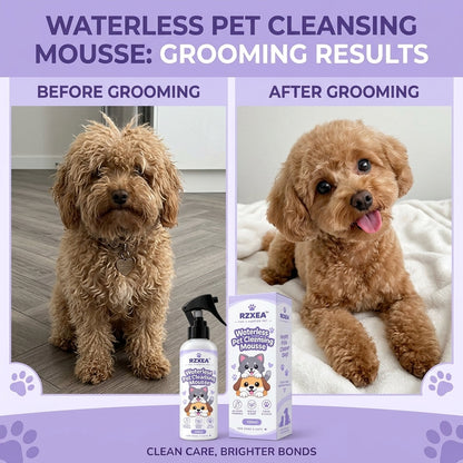 RZXEA™ Waterless Pet Cleansing Mousse