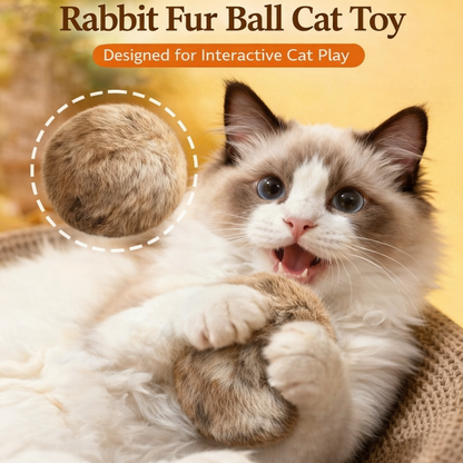 ⭐RZXEA™ Soft Fluffy Cat Toy Ball (Copy)