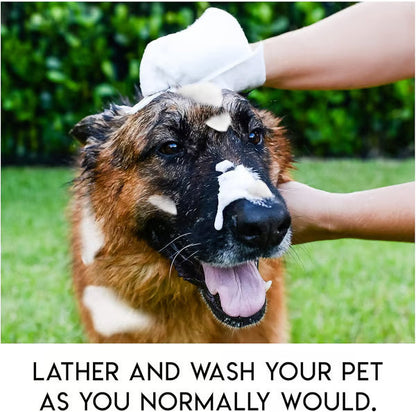 🔥 AEXZR®  Rinse-Free Dog Shampoo Mitts – Hypoallergenic Pet Bath Wipes | 6-Pack for Easy Grooming & Sparkling Clean Fur 🐶✨