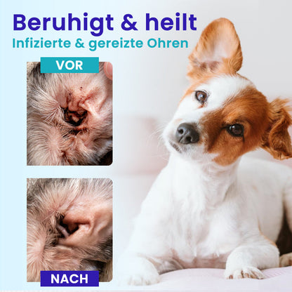 🌟 Offizieller Shop | RZXEA™ Pet EarPro Tropfen FM+