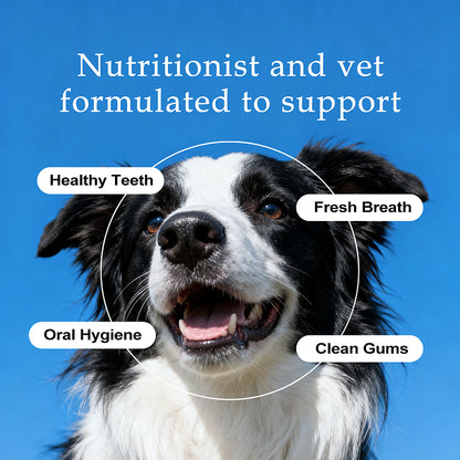 RZXEA™ Pet Oral Care Water