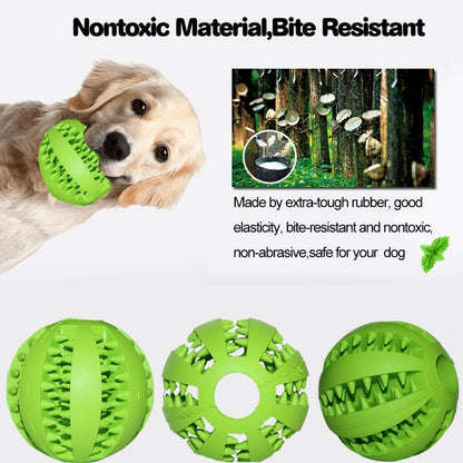 AEXZR® INTERACTIVE CHEW TOY BALLS for Pets